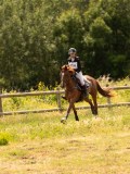 DSC04481 DSC04481