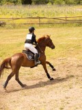 DSC04488 DSC04488