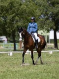 IMG_1368 IMG_1368