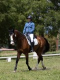 IMG_1369 IMG_1369