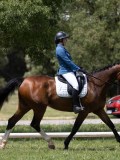 IMG_1371 IMG_1371