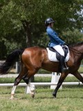 IMG_1372 IMG_1372
