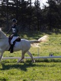 IMG_0886