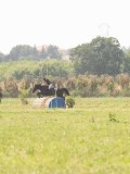 DSC00549