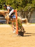 DSC09419 DSC09419