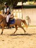 DSC09420 DSC09420