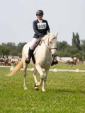 DSC04730