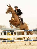 DSC07266 DSC07266