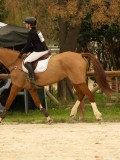 DSC07277 DSC07277