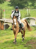DSC08338 DSC08338