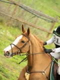DSC08340 DSC08340