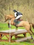 DSC08350 DSC08350
