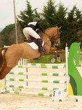 DSC07265 DSC07265