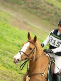 DSC08339 DSC08339