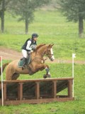 DSC08343 DSC08343