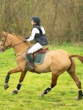 DSC08349 DSC08349