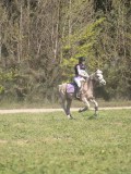 24_06576 24_06576