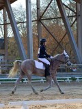 IMG_0310