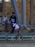 IMG_0312 IMG_0312