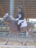 IMG_0317 IMG_0317