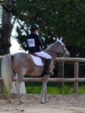 IMG_0318 IMG_0318