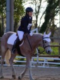 IMG_0323 IMG_0323