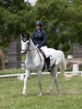 IMG_1394 IMG_1394