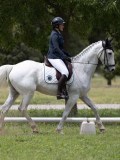 IMG_1398 IMG_1398