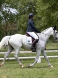 IMG_1400 IMG_1400