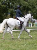 IMG_1402 IMG_1402