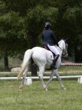 IMG_1406 IMG_1406