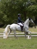 IMG_1412 IMG_1412