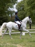 IMG_1413 IMG_1413