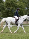 IMG_1414 IMG_1414