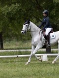 IMG_1417 IMG_1417