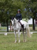 IMG_1419 IMG_1419