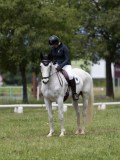 IMG_1420 IMG_1420