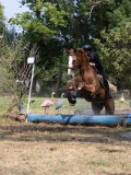 IMG_7255