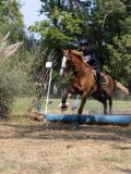 IMG_7256