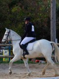 IMG_0331 IMG_0331