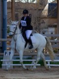 IMG_0333 IMG_0333