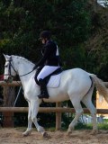 IMG_0336 IMG_0336