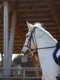 IMG_0339 IMG_0339