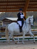 IMG_0342 IMG_0342