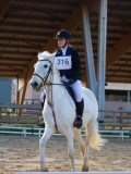 IMG_0345 IMG_0345