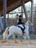 IMG_0352 IMG_0352