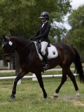 IMG_1426 IMG_1426