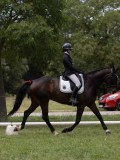 IMG_1427 IMG_1427