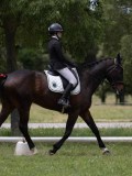 IMG_1429 IMG_1429