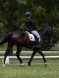 IMG_1430 IMG_1430